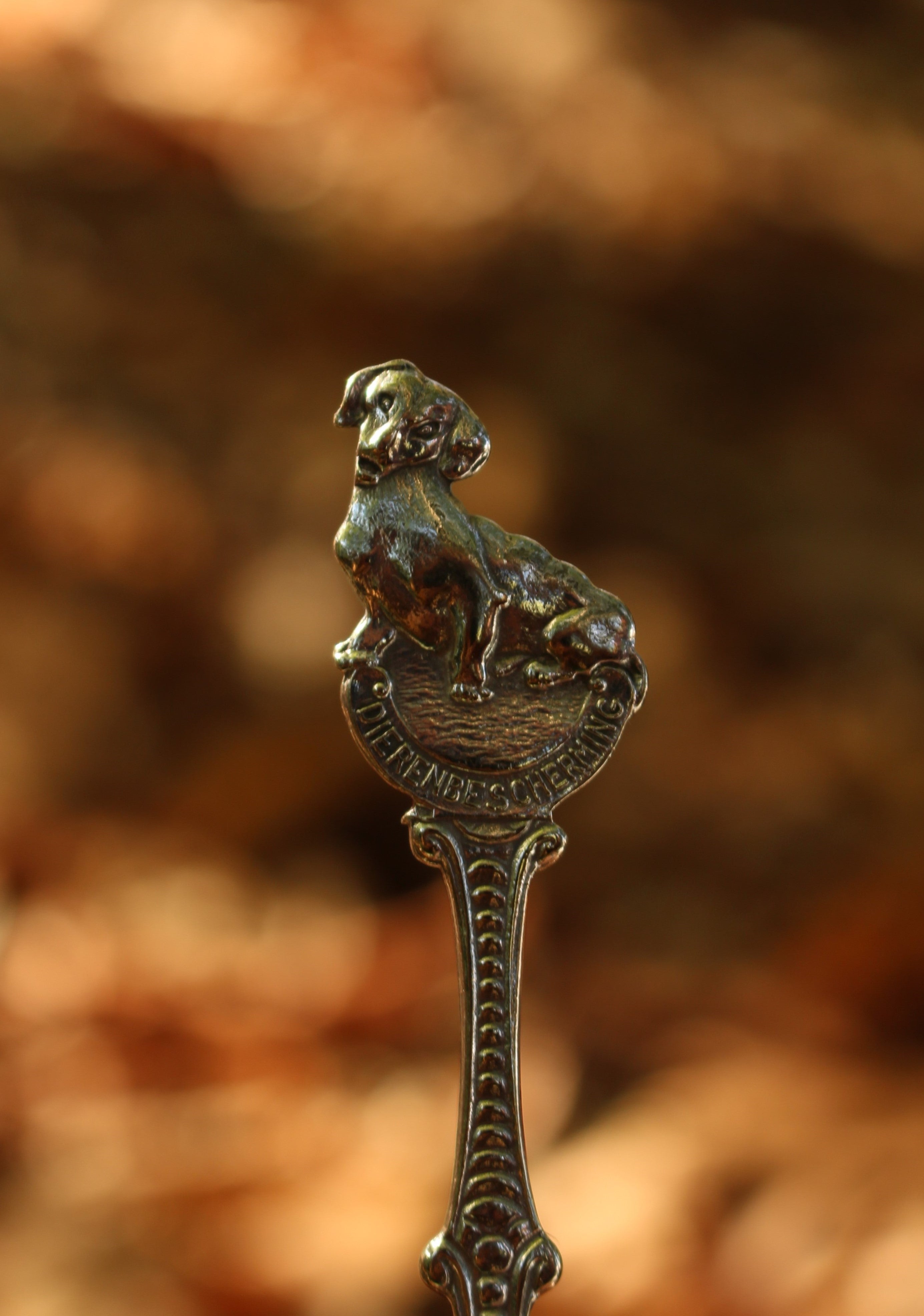 Dachshund Dog Ring