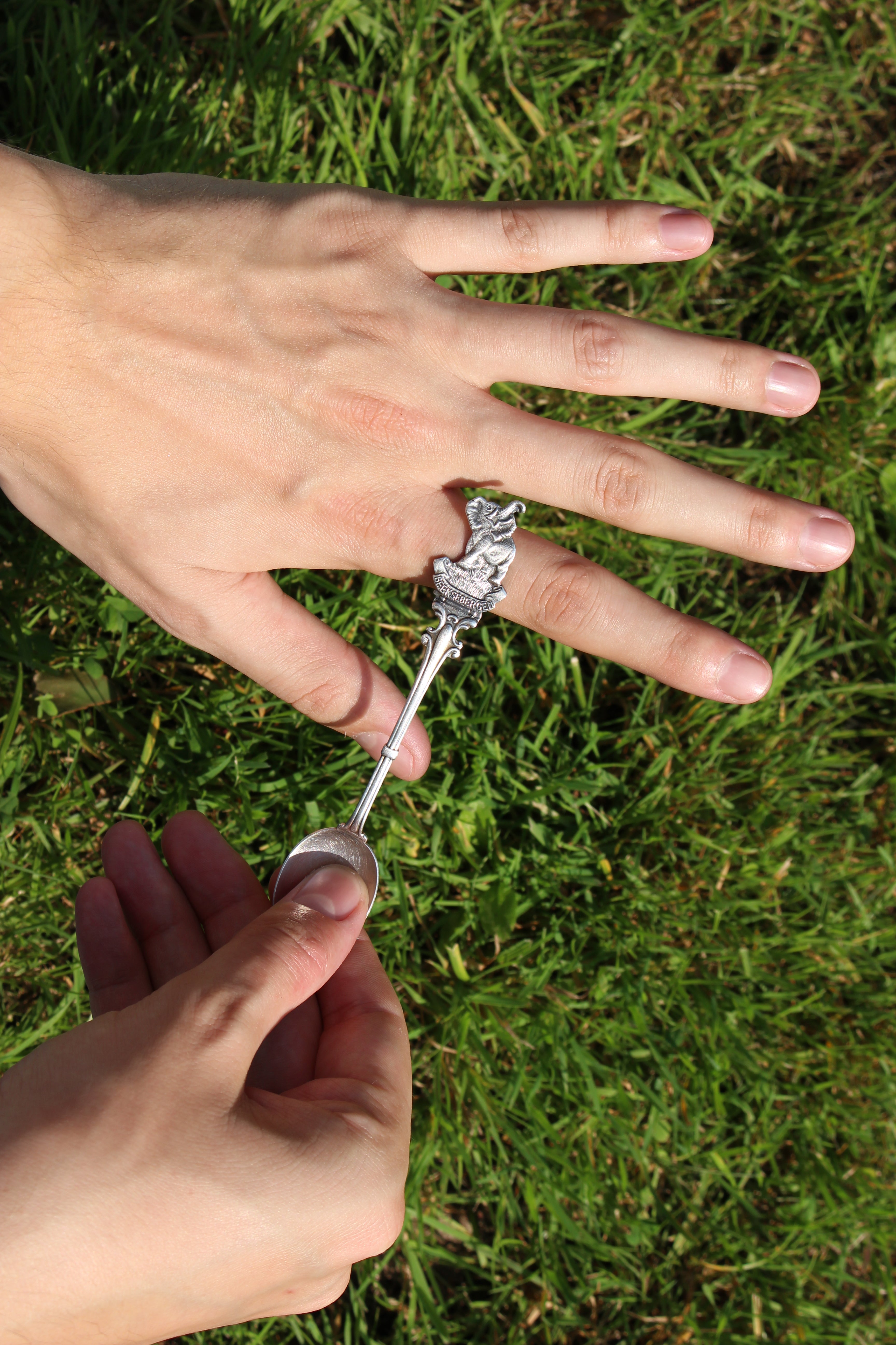 Elephant Beeksebergen Ring