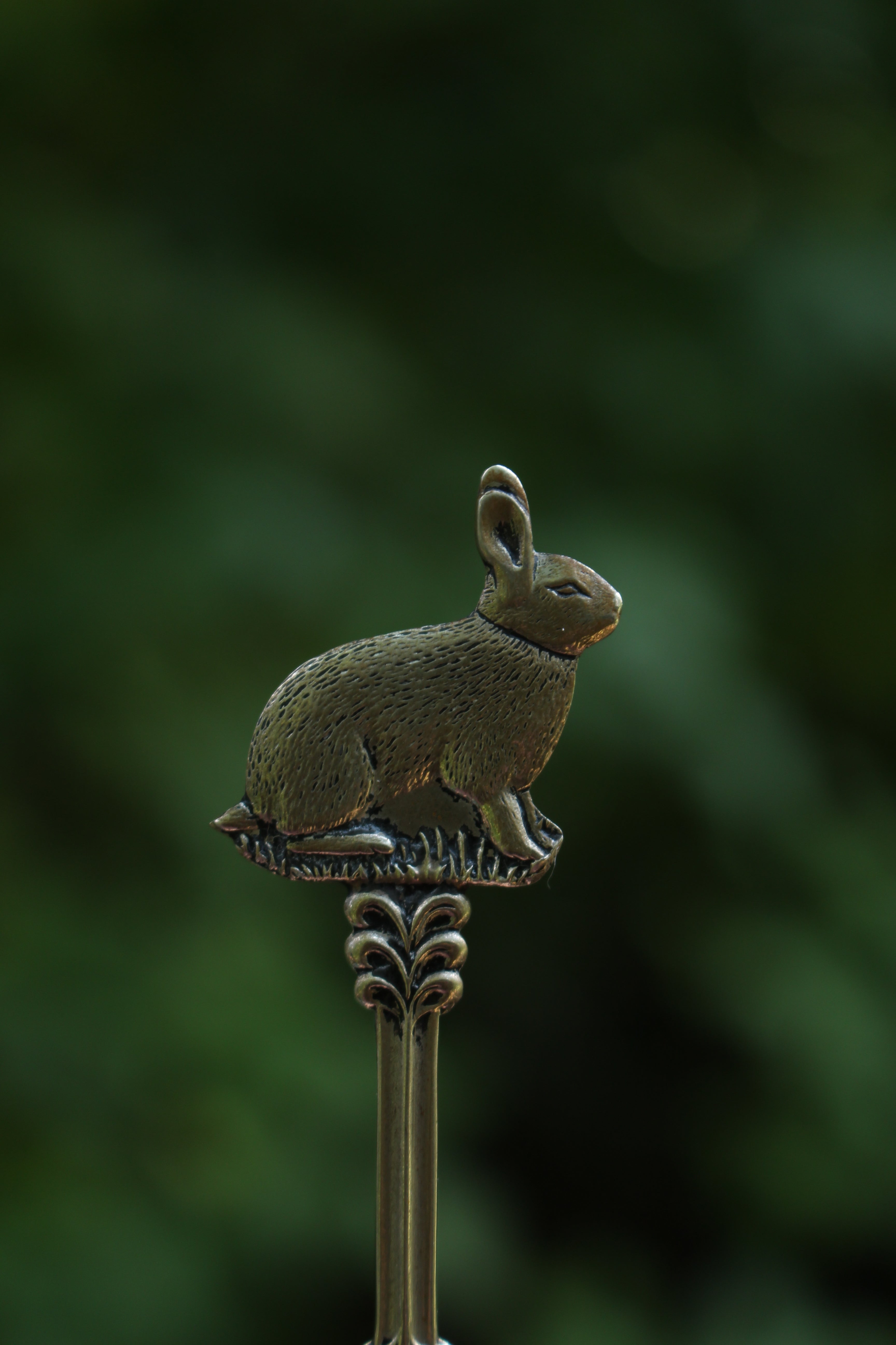 Rabbit Ring