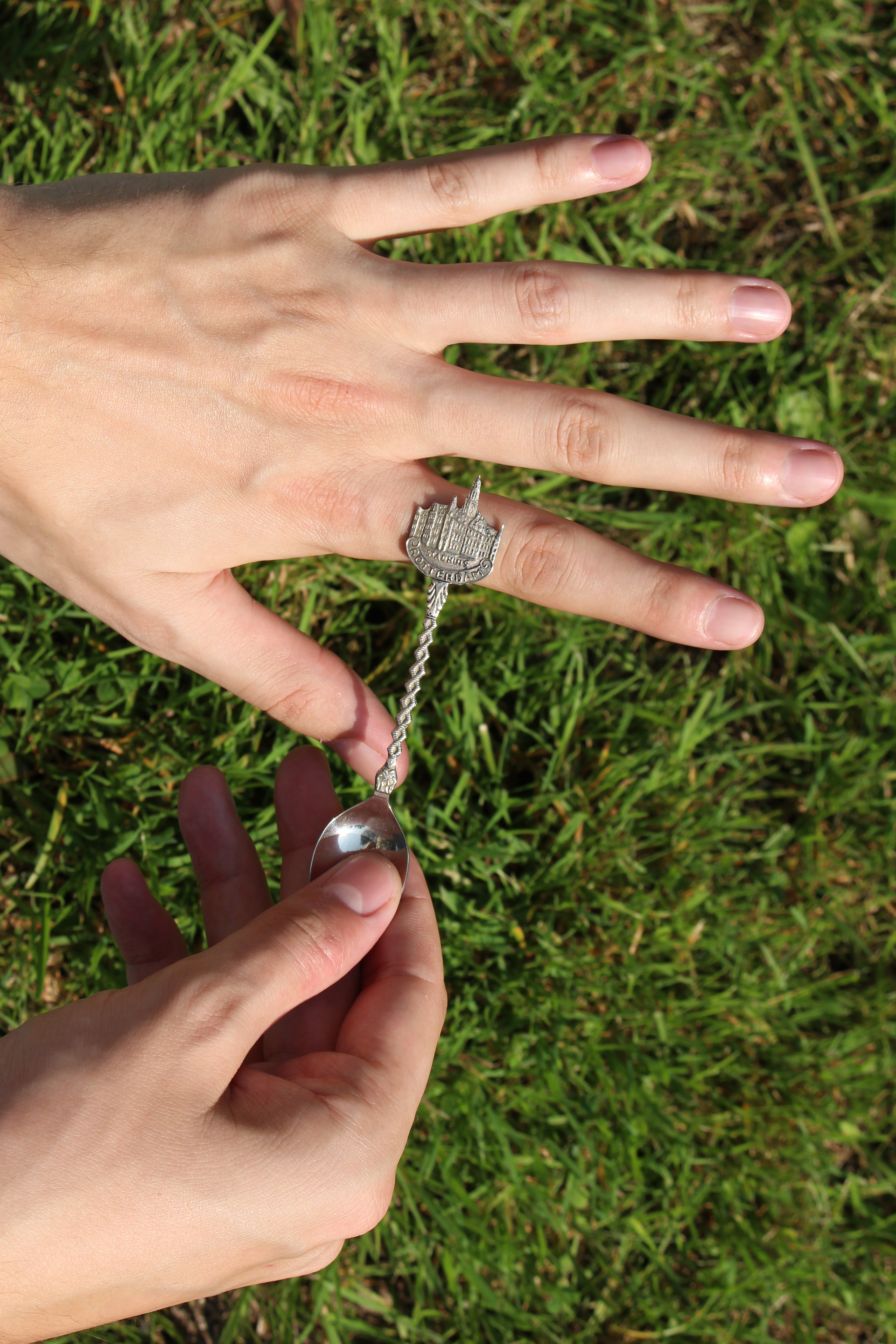 Rotterdam City Hall Ring