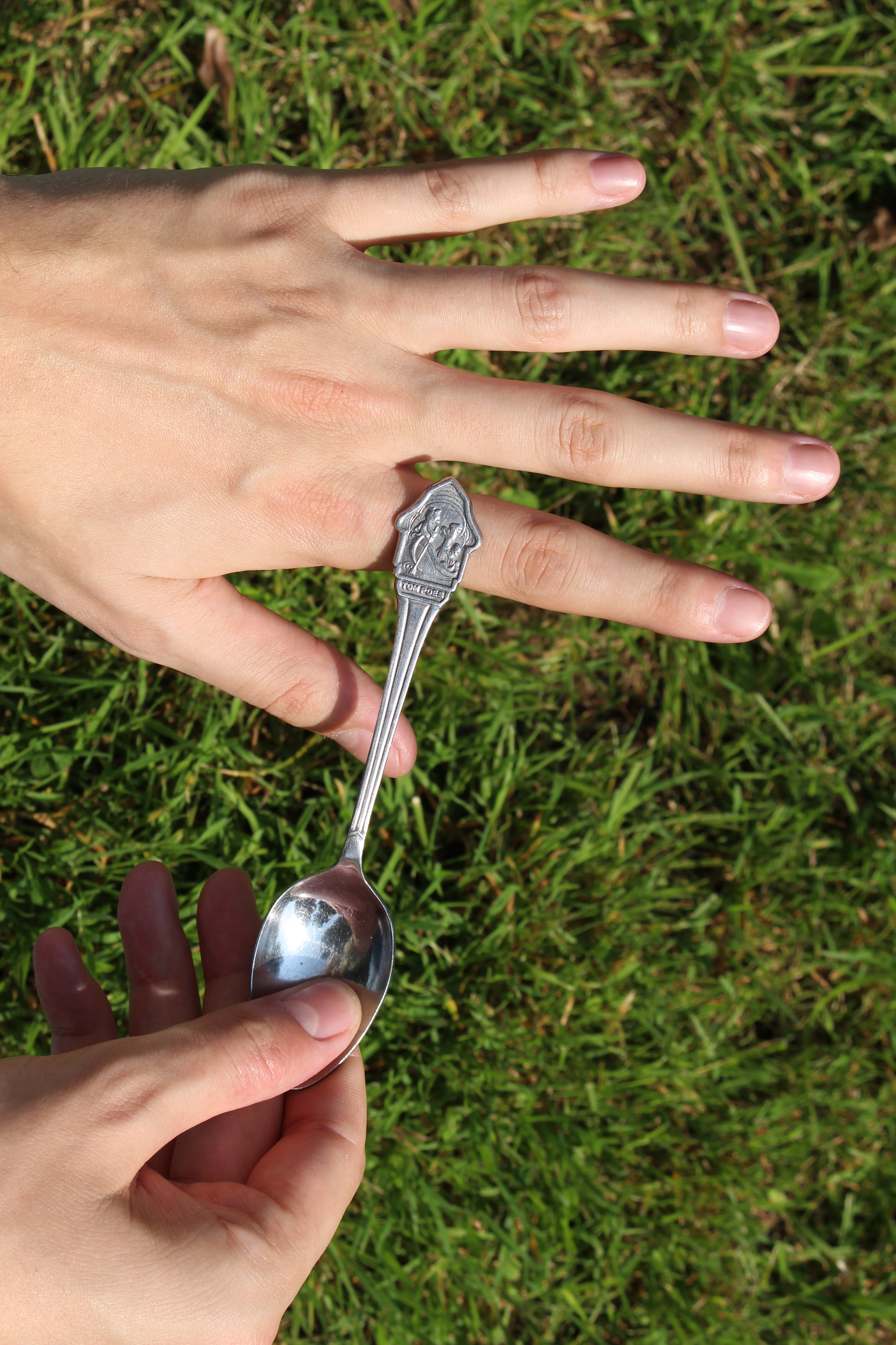 Tom Poes Ring (stainless steel)