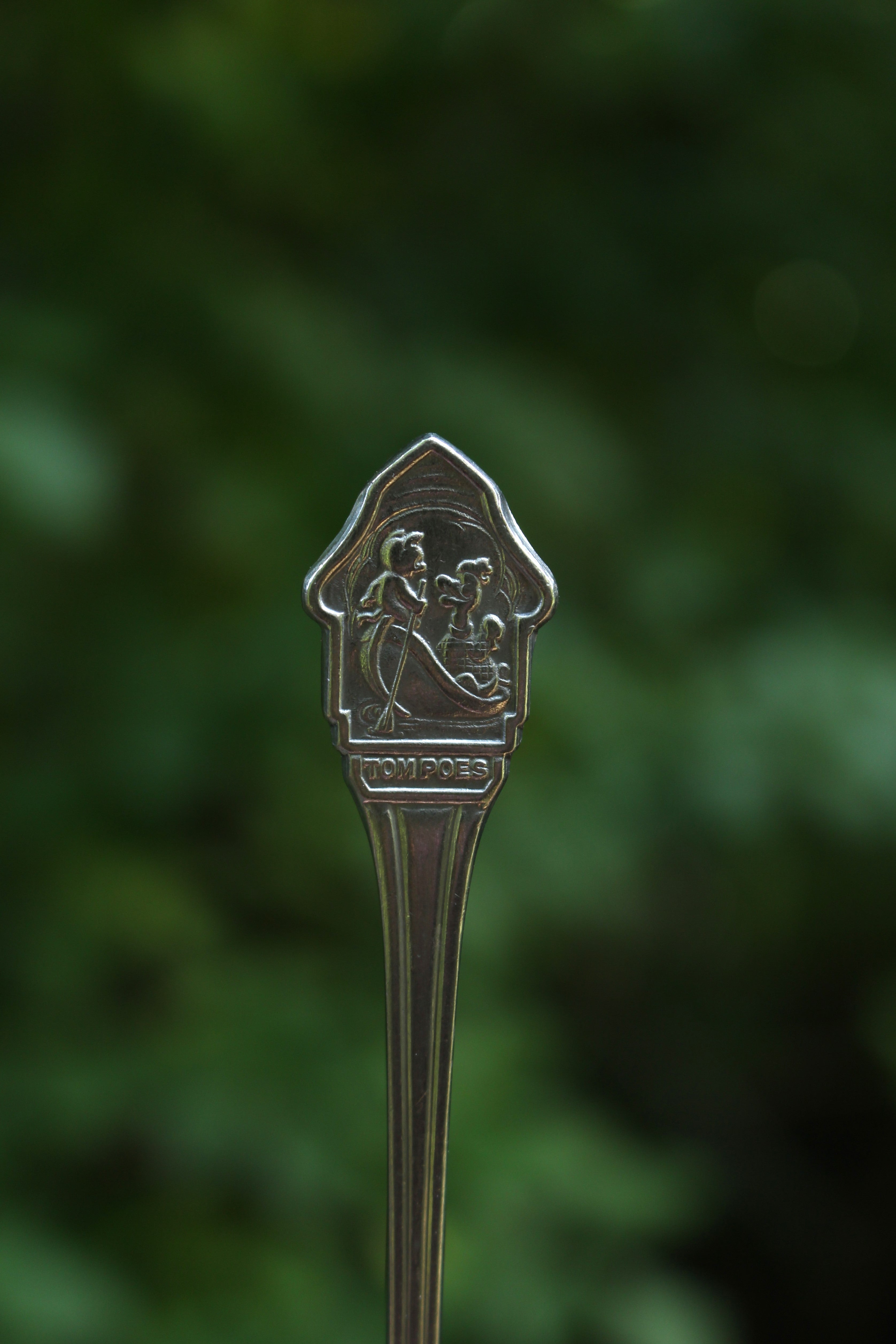 Tom Poes Ring (stainless steel)